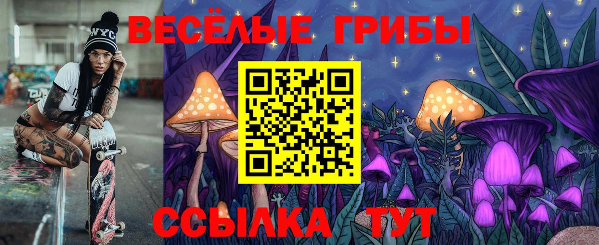 Псилоцибиновые грибы Magic Shrooms  Вход с VPN  Алексин  Галлюциногенные грибы Magic Shrooms 