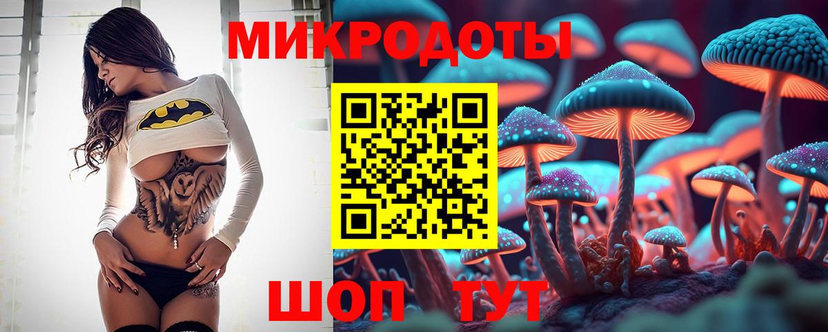 Псилоцибиновые грибы Psilocybine cubensis Алексин